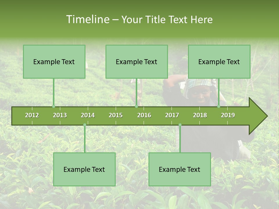 Tea Plantations In Sri Lanka PowerPoint Template
