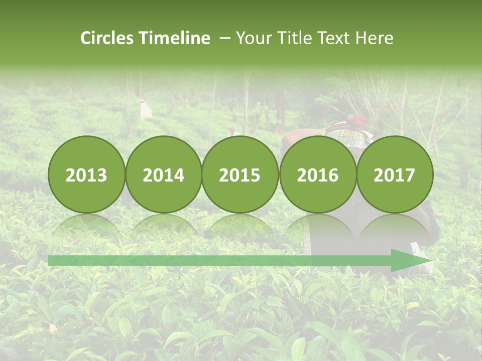 Tea Plantations In Sri Lanka PowerPoint Template