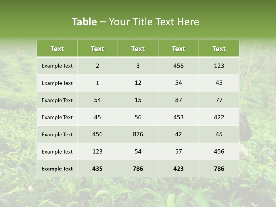 Tea Plantations In Sri Lanka PowerPoint Template
