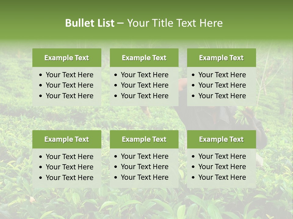 Tea Plantations In Sri Lanka PowerPoint Template