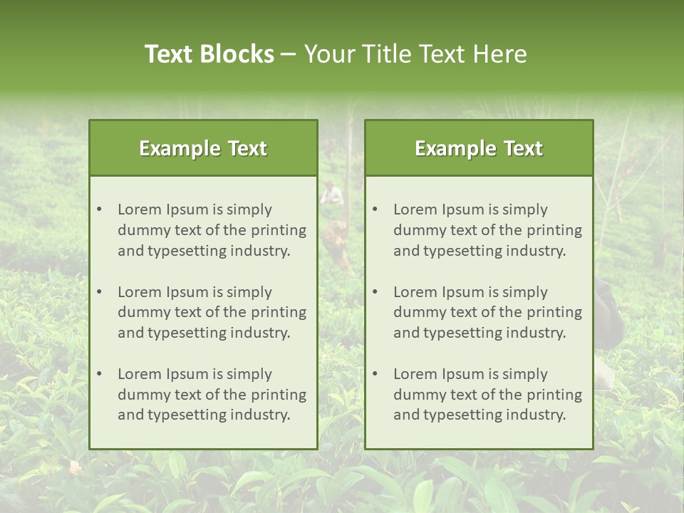 Tea Plantations In Sri Lanka PowerPoint Template