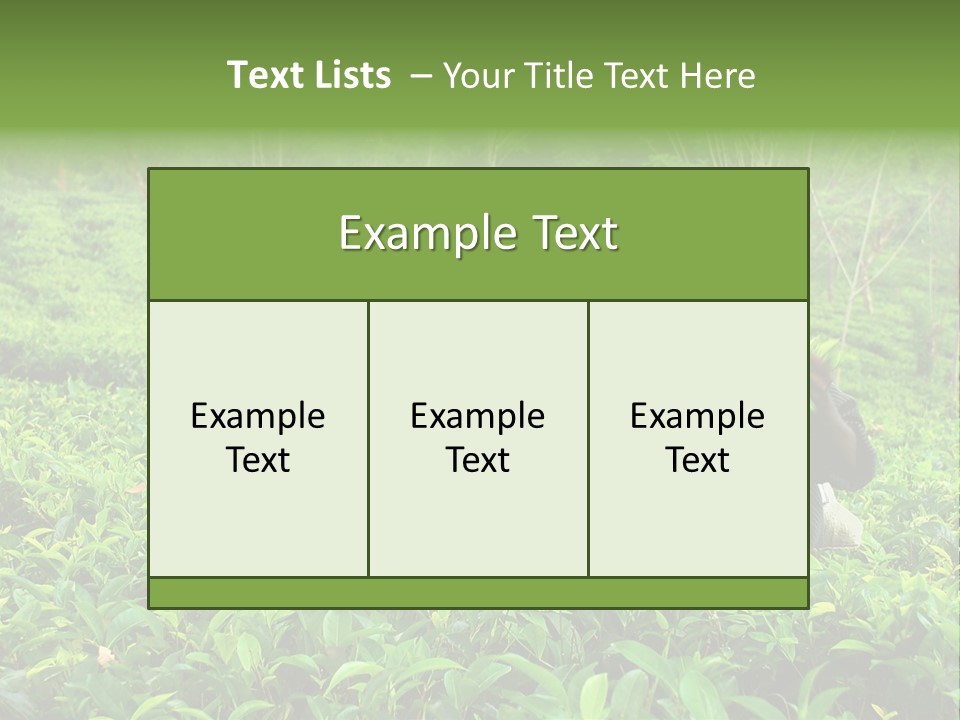 Tea Plantations In Sri Lanka PowerPoint Template