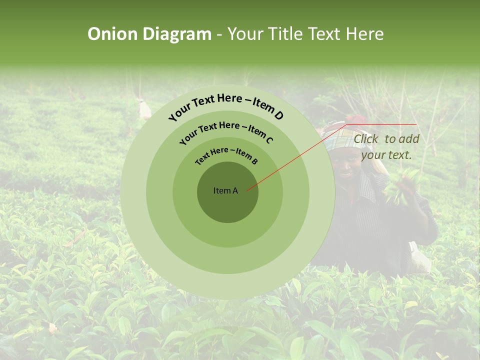 Tea Plantations In Sri Lanka PowerPoint Template