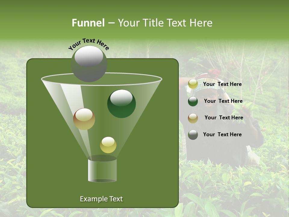 Tea Plantations In Sri Lanka PowerPoint Template