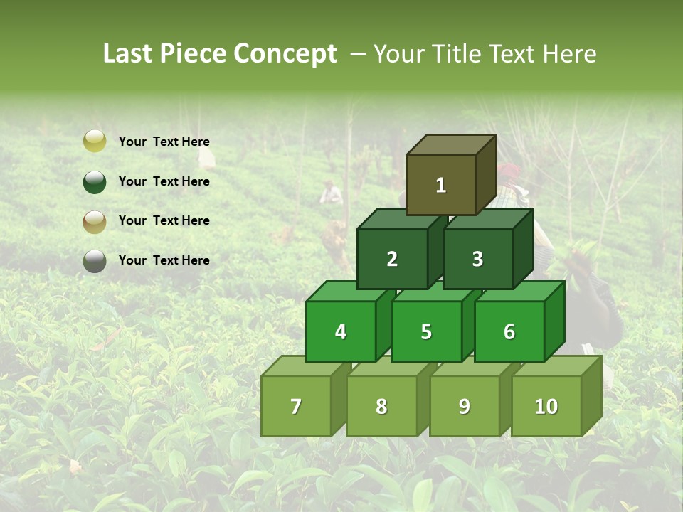 Tea Plantations In Sri Lanka PowerPoint Template