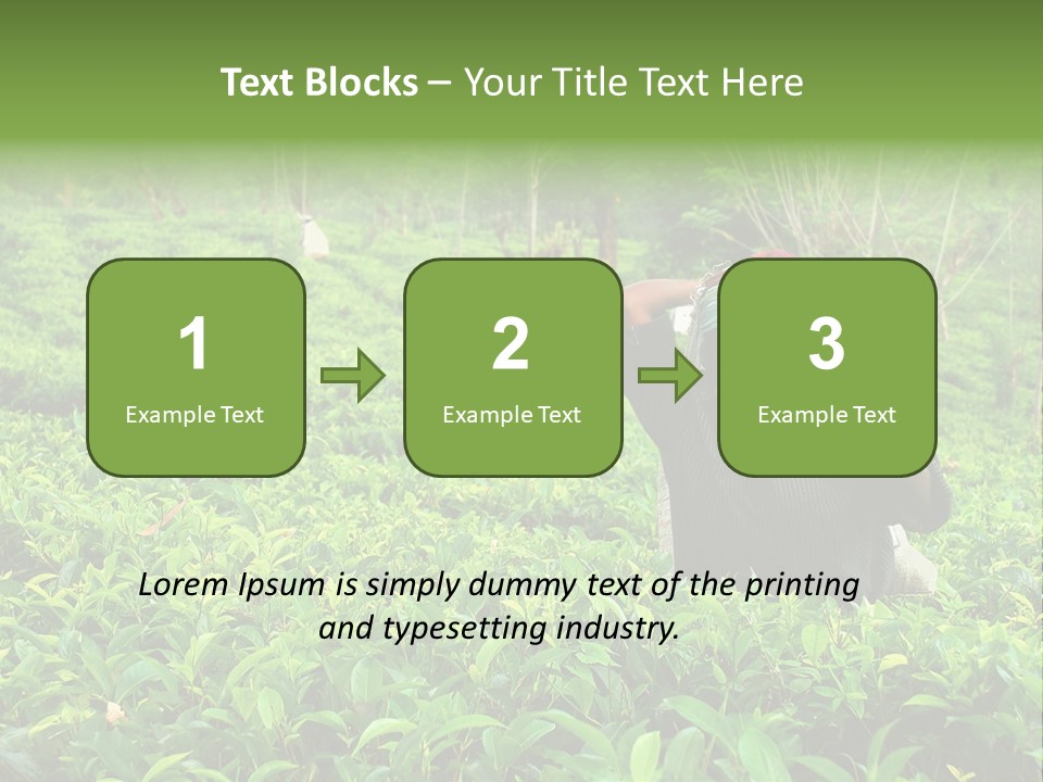 Tea Plantations In Sri Lanka PowerPoint Template