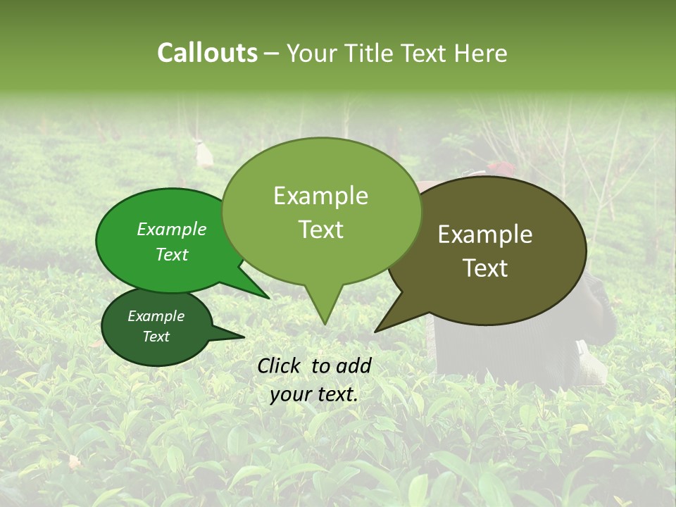 Tea Plantations In Sri Lanka PowerPoint Template