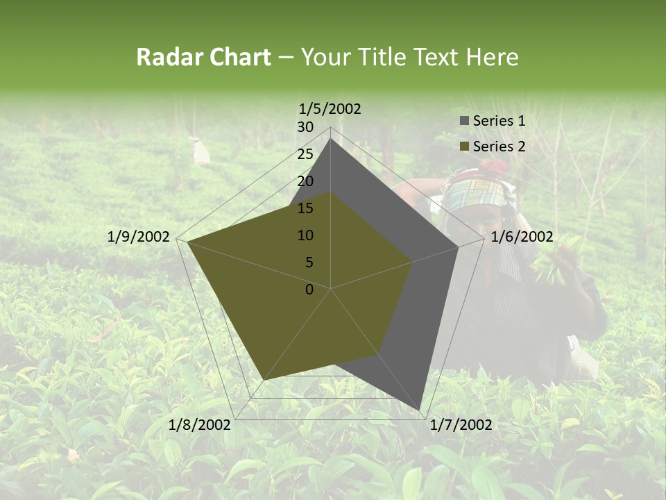 Tea Plantations In Sri Lanka PowerPoint Template