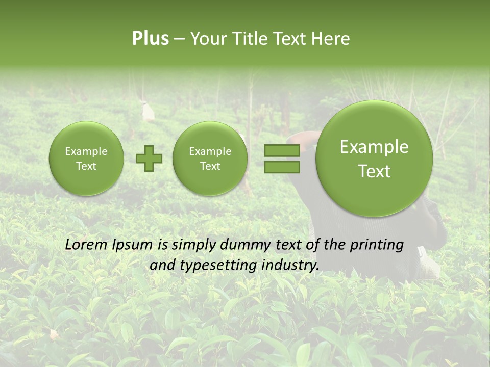 Tea Plantations In Sri Lanka PowerPoint Template