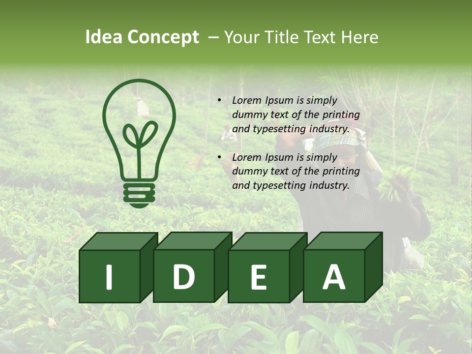 Tea Plantations In Sri Lanka PowerPoint Template