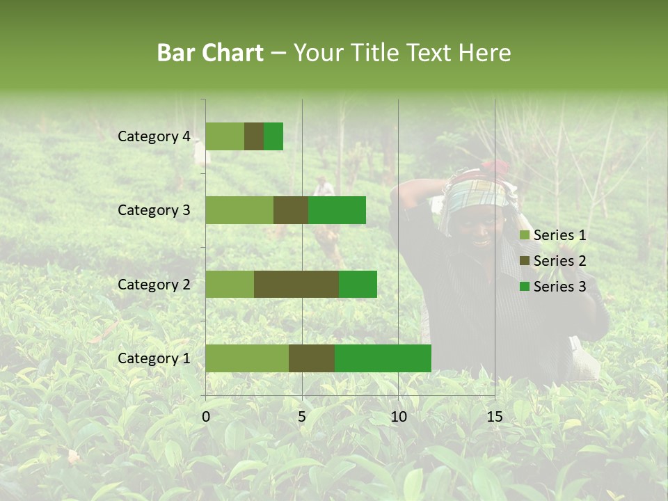 Tea Plantations In Sri Lanka PowerPoint Template