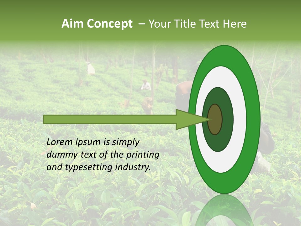 Tea Plantations In Sri Lanka PowerPoint Template