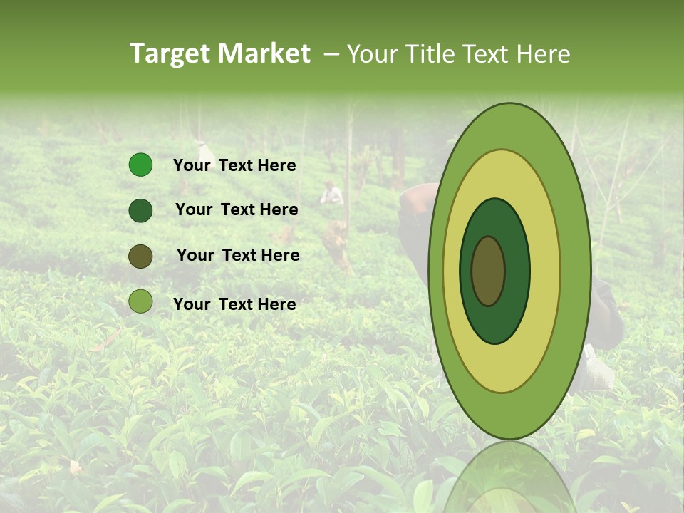 Tea Plantations In Sri Lanka PowerPoint Template