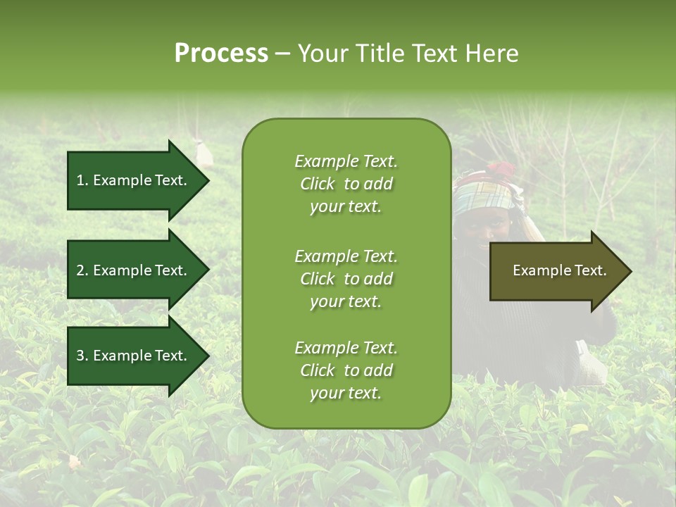 Tea Plantations In Sri Lanka PowerPoint Template