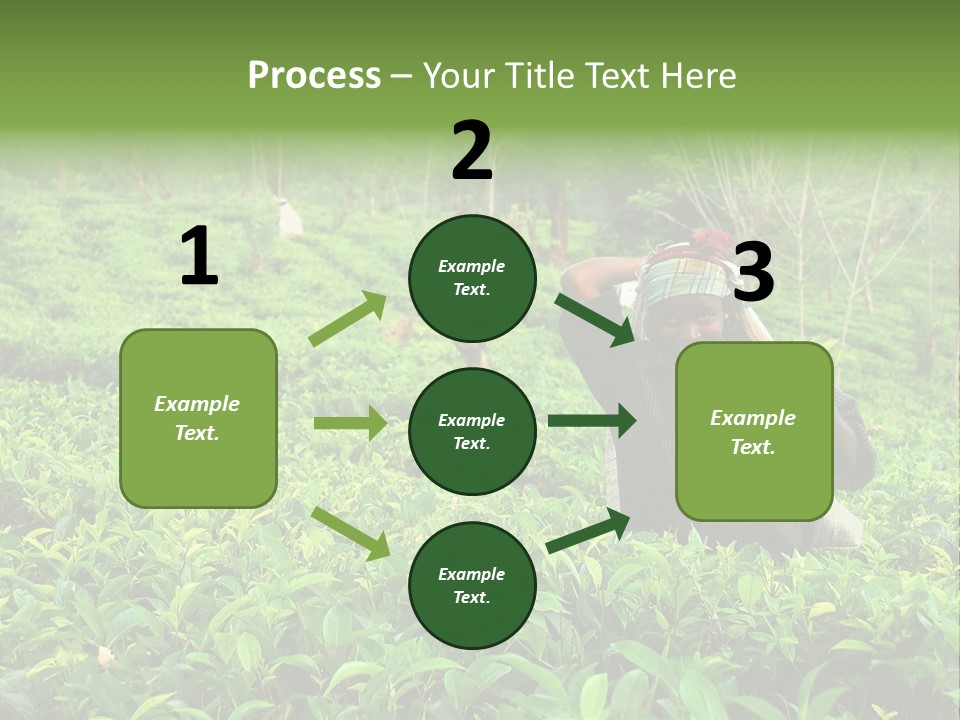 Tea Plantations In Sri Lanka PowerPoint Template