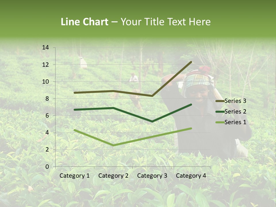 Tea Plantations In Sri Lanka PowerPoint Template