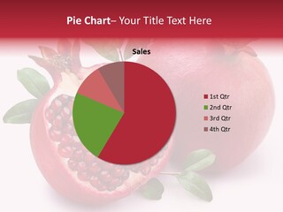 Pomegranate Fruit PowerPoint Template