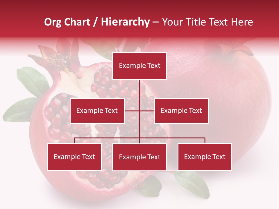 Pomegranate Fruit PowerPoint Template