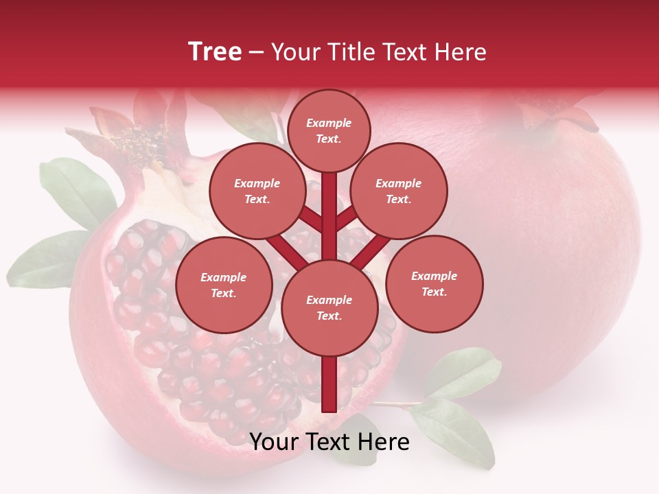Pomegranate Fruit PowerPoint Template