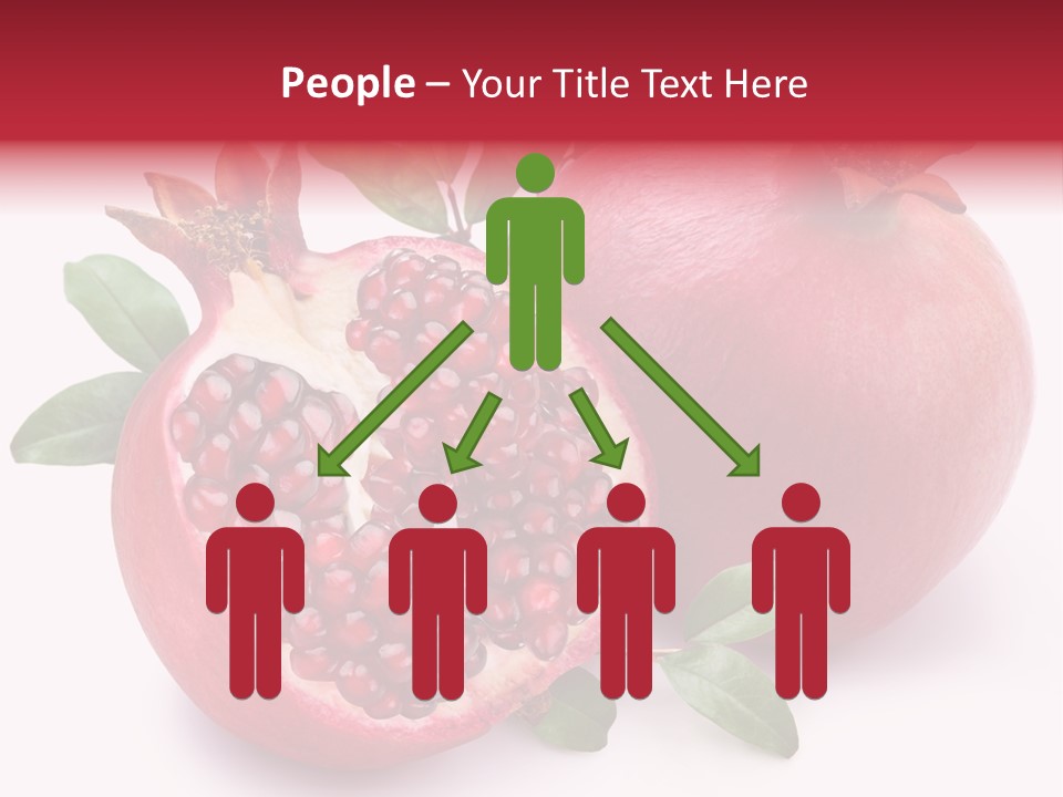 Pomegranate Fruit PowerPoint Template