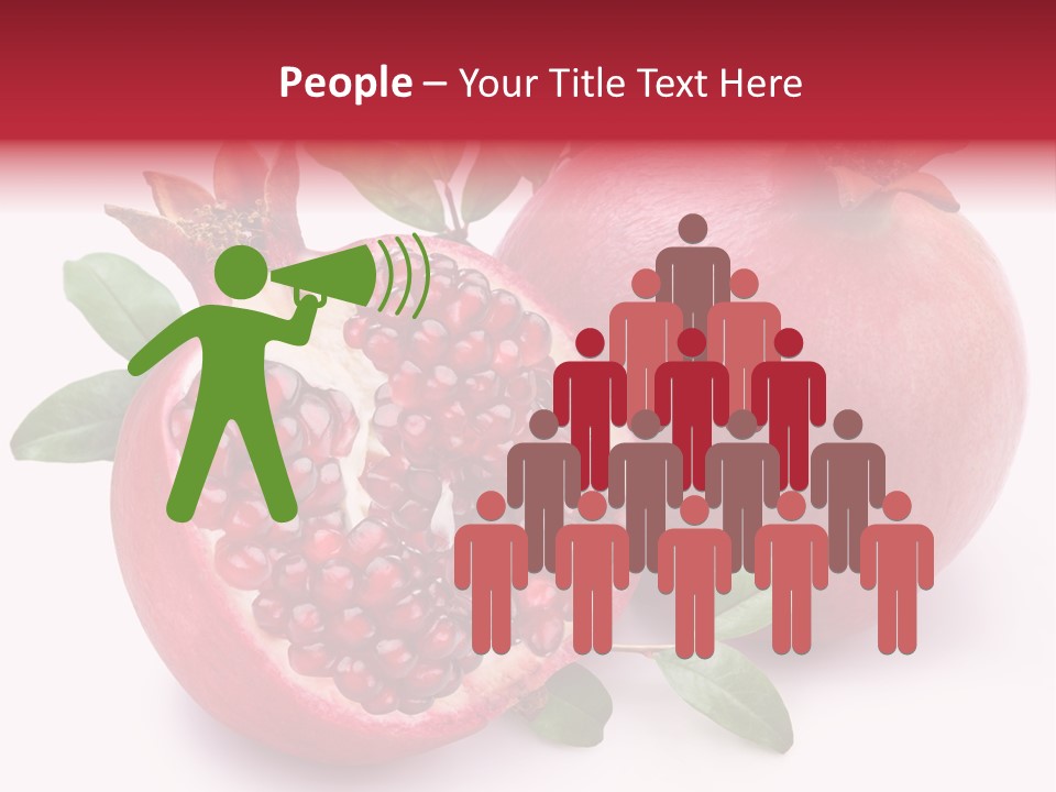 Pomegranate Fruit PowerPoint Template