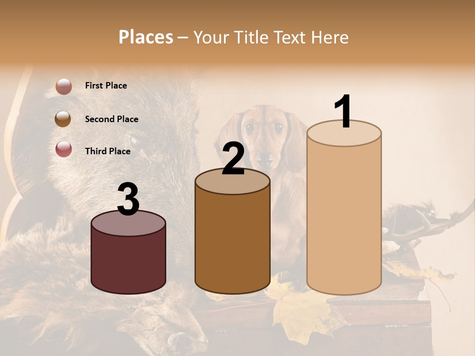 Hair Prey Hunt PowerPoint Template