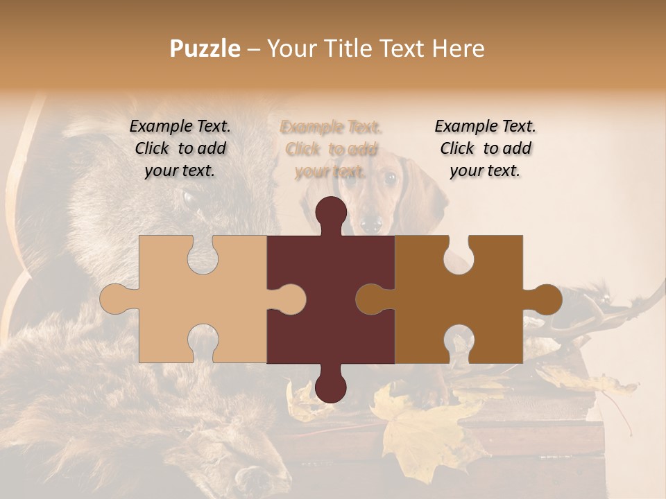 Hair Prey Hunt PowerPoint Template