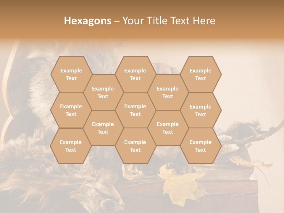 Hair Prey Hunt PowerPoint Template