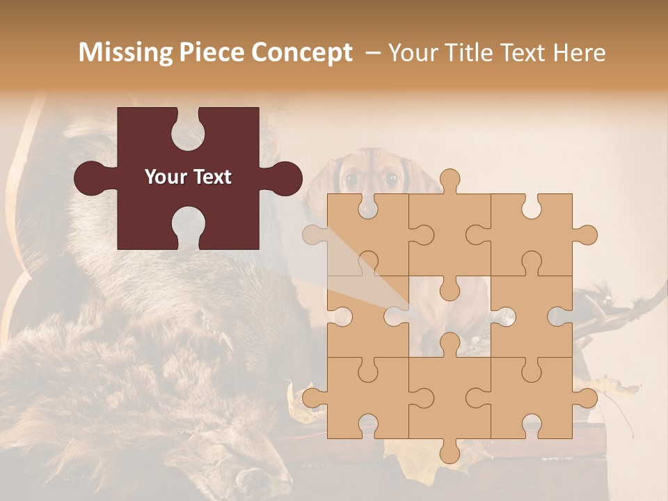 Hair Prey Hunt PowerPoint Template