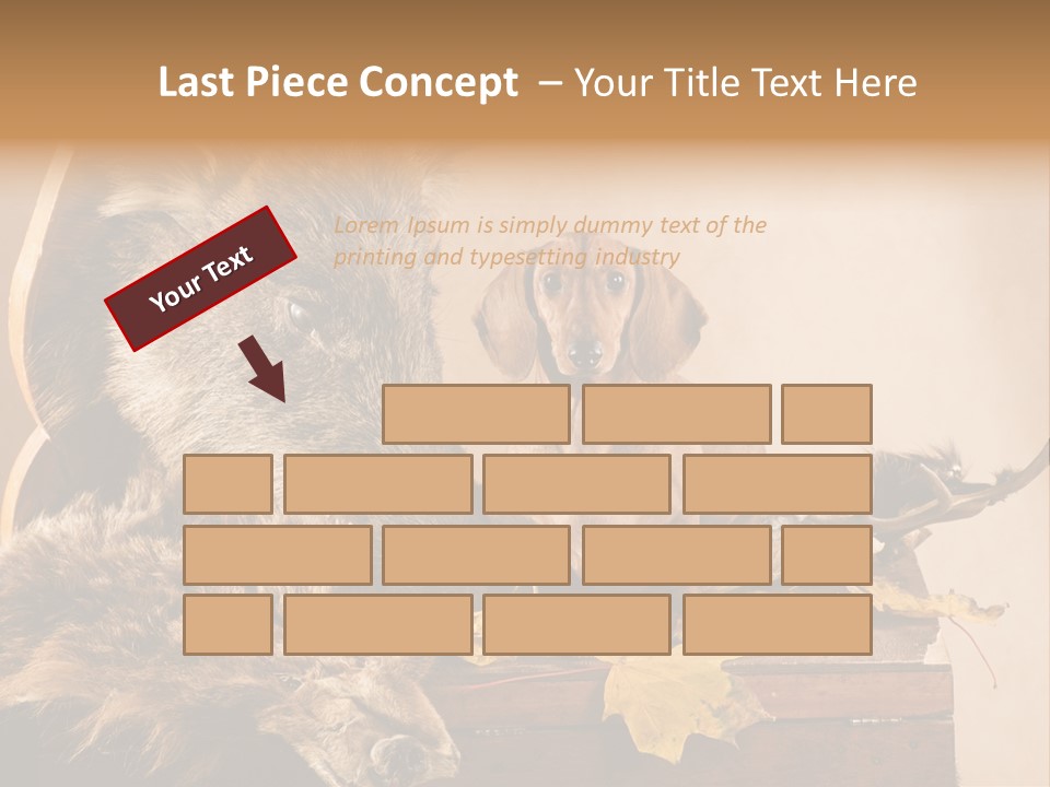 Hair Prey Hunt PowerPoint Template