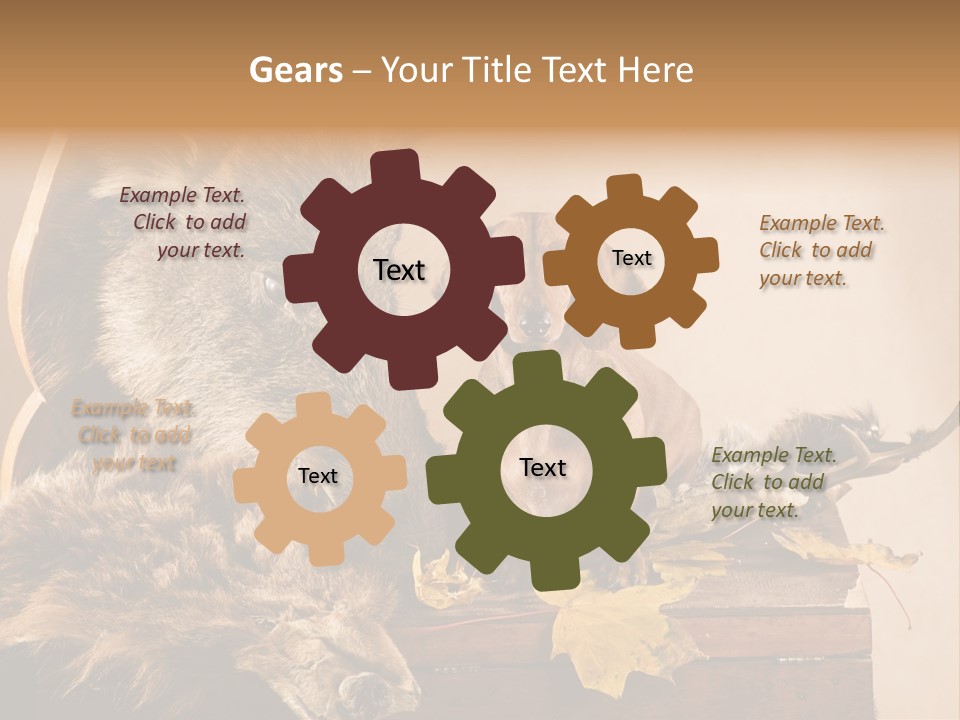 Hair Prey Hunt PowerPoint Template
