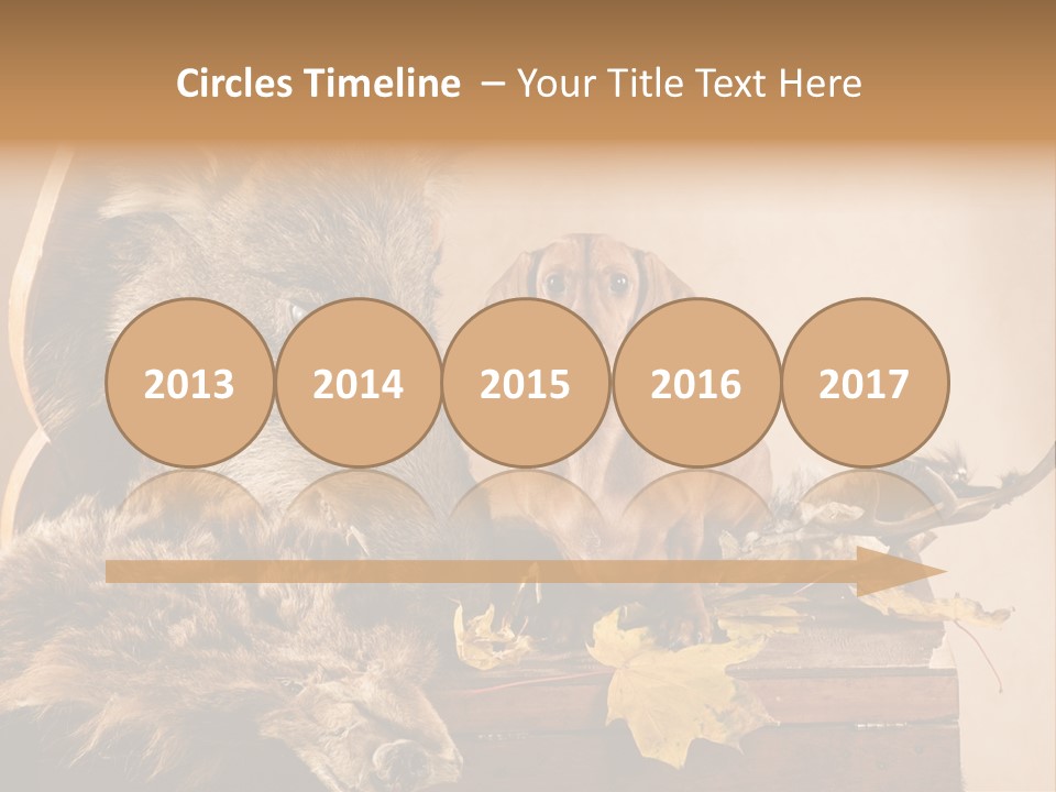 Hair Prey Hunt PowerPoint Template