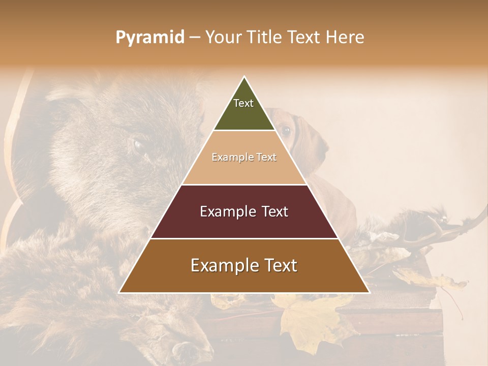 Hair Prey Hunt PowerPoint Template