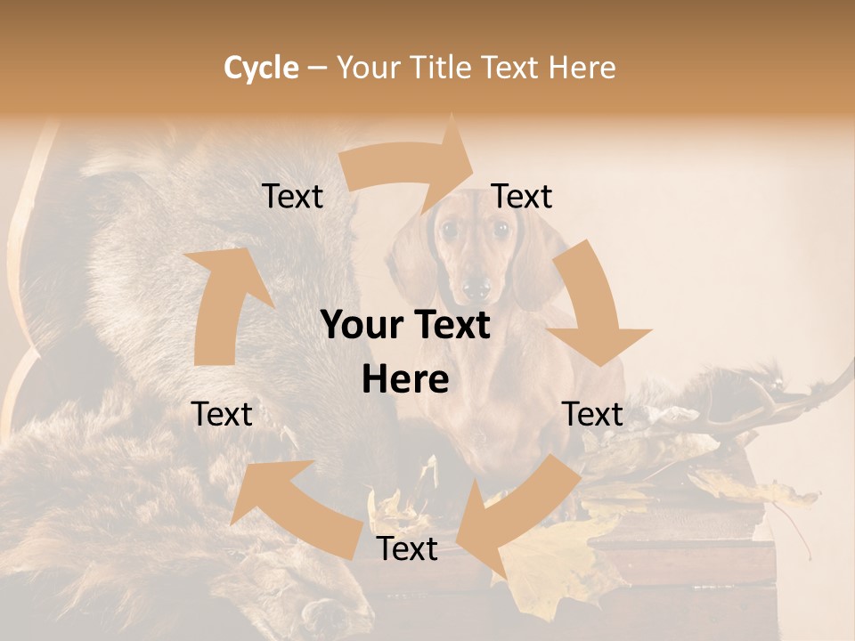 Hair Prey Hunt PowerPoint Template