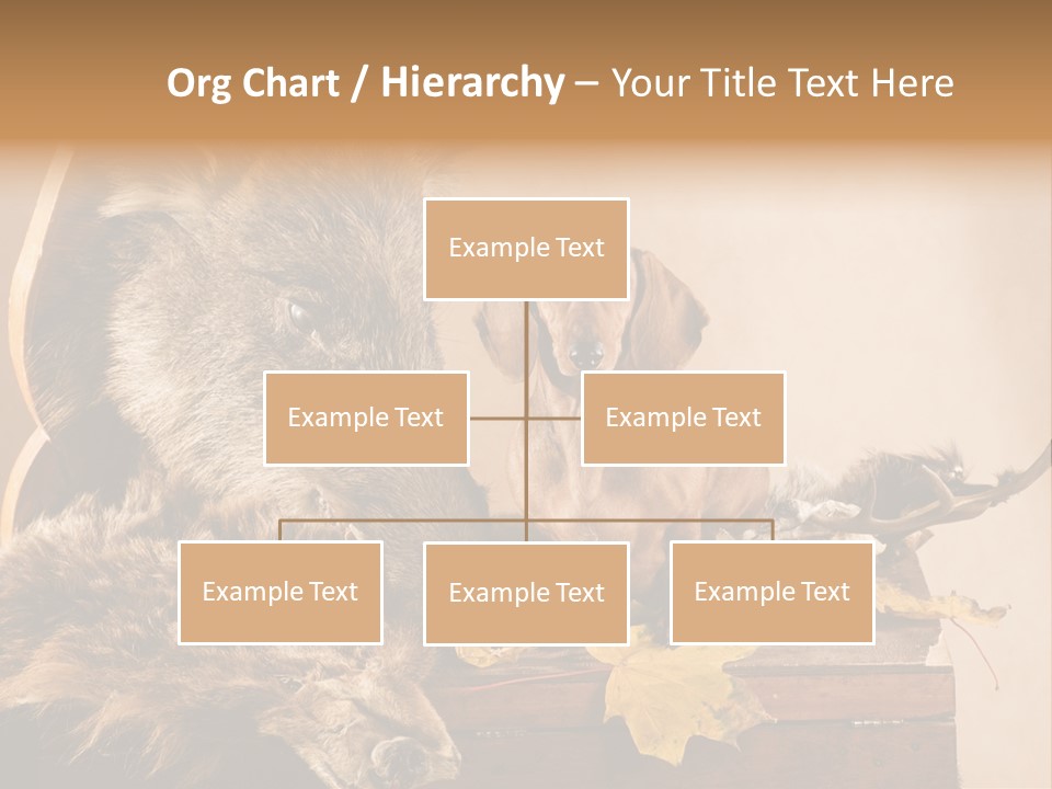 Hair Prey Hunt PowerPoint Template