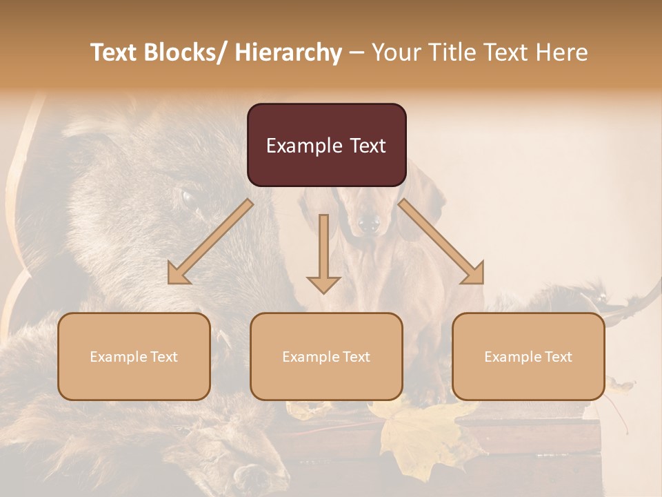 Hair Prey Hunt PowerPoint Template