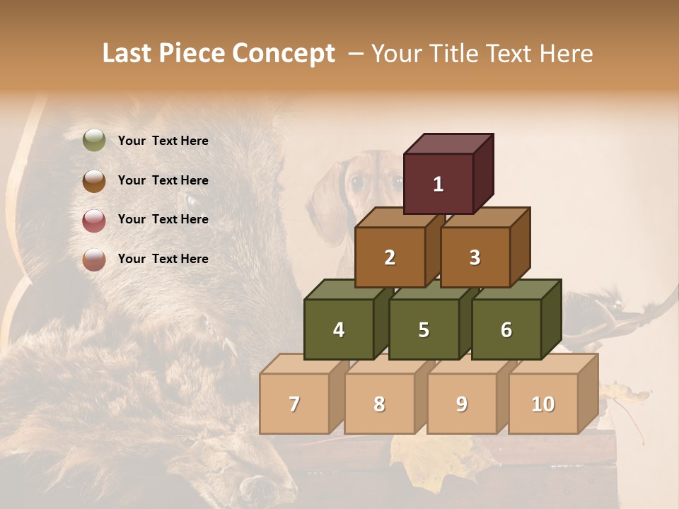 Hair Prey Hunt PowerPoint Template