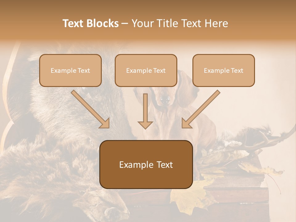 Hair Prey Hunt PowerPoint Template