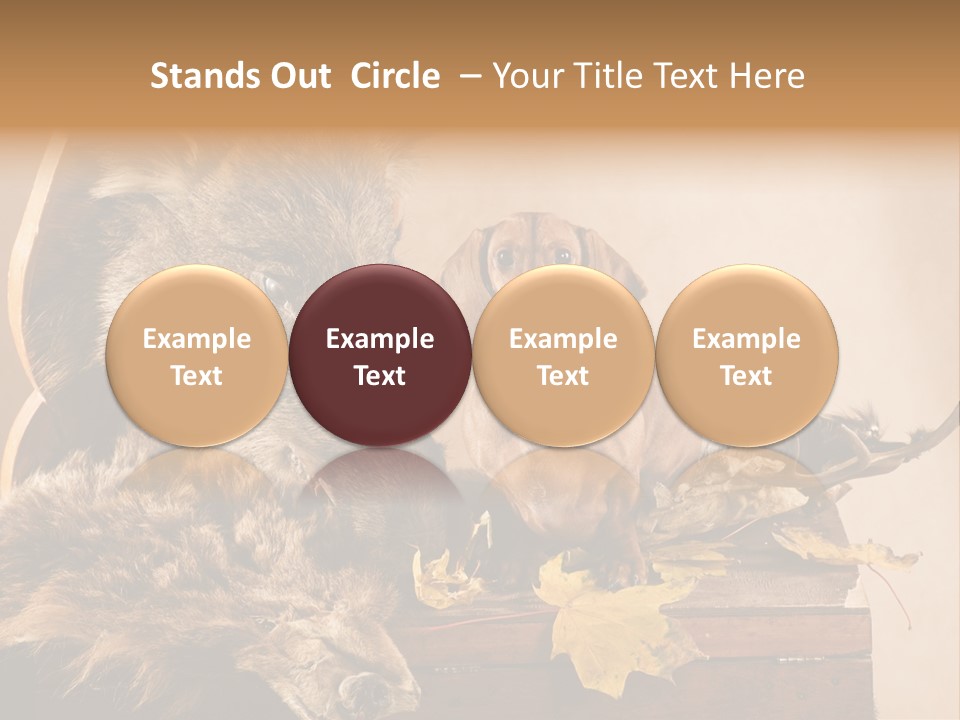 Hair Prey Hunt PowerPoint Template