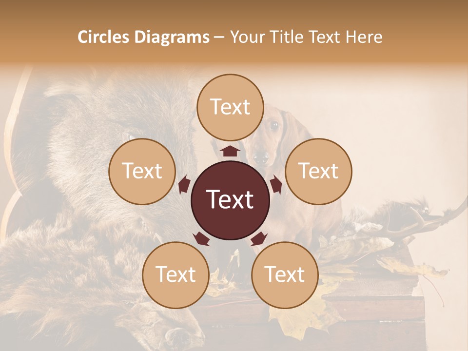 Hair Prey Hunt PowerPoint Template