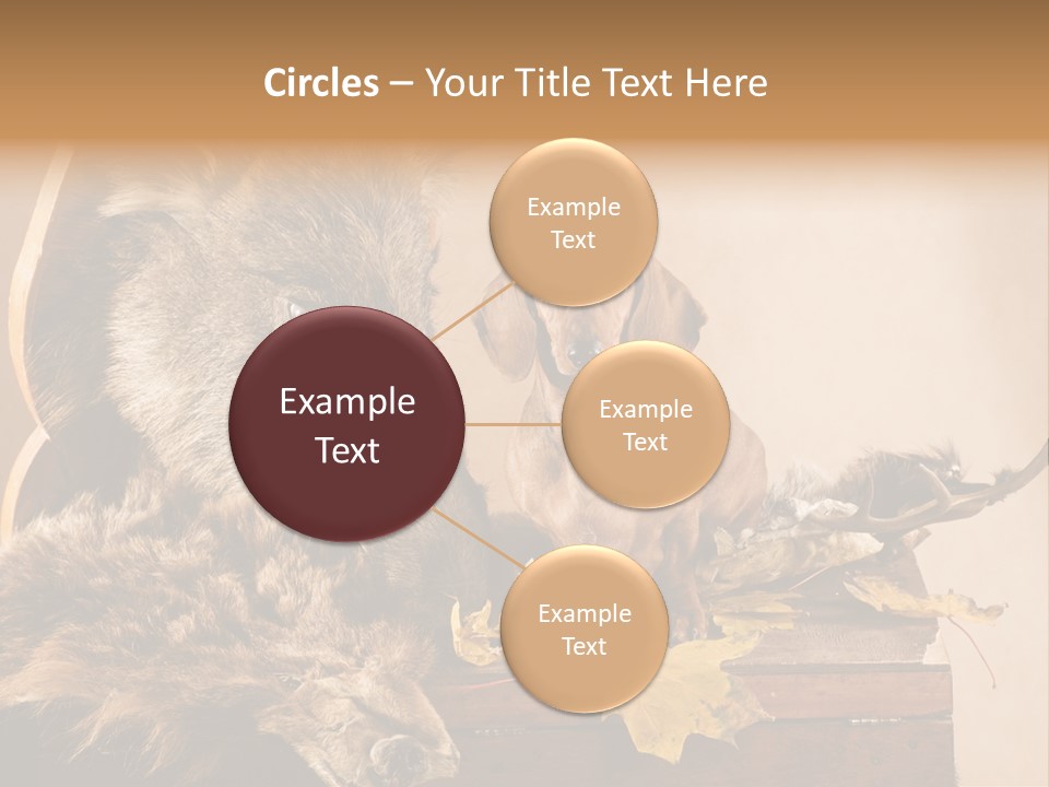 Hair Prey Hunt PowerPoint Template