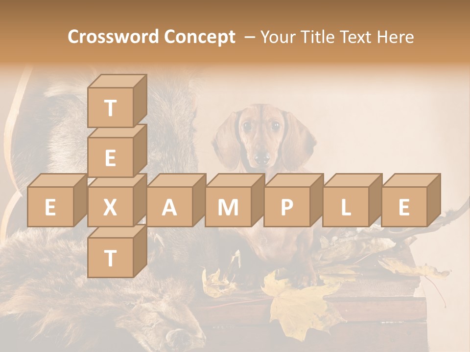 Hair Prey Hunt PowerPoint Template