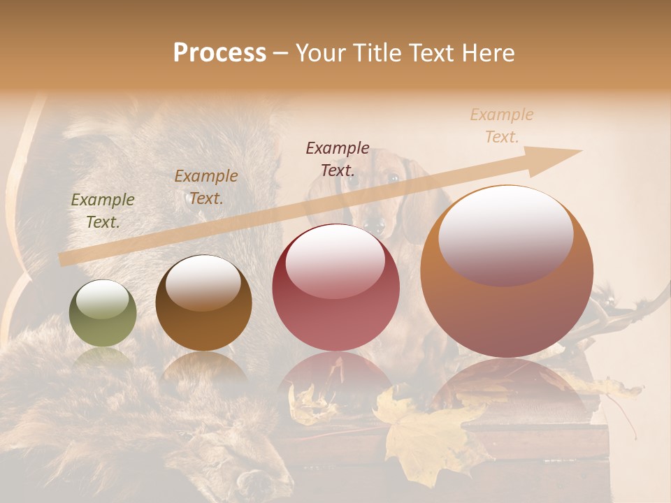 Hair Prey Hunt PowerPoint Template