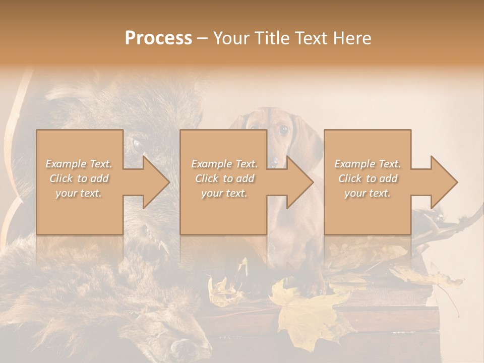 Hair Prey Hunt PowerPoint Template
