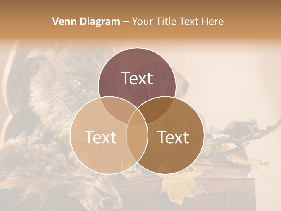 Hair Prey Hunt PowerPoint Template