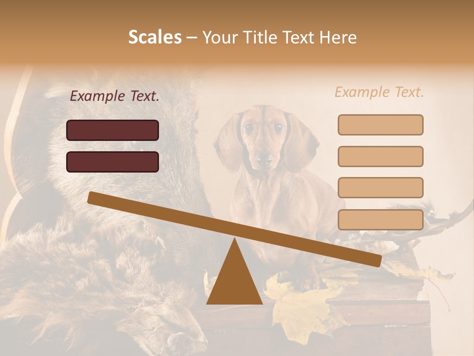 Hair Prey Hunt PowerPoint Template
