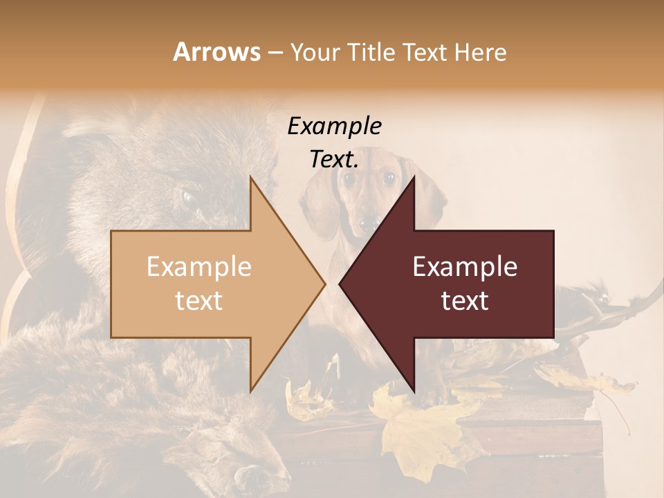 Hair Prey Hunt PowerPoint Template