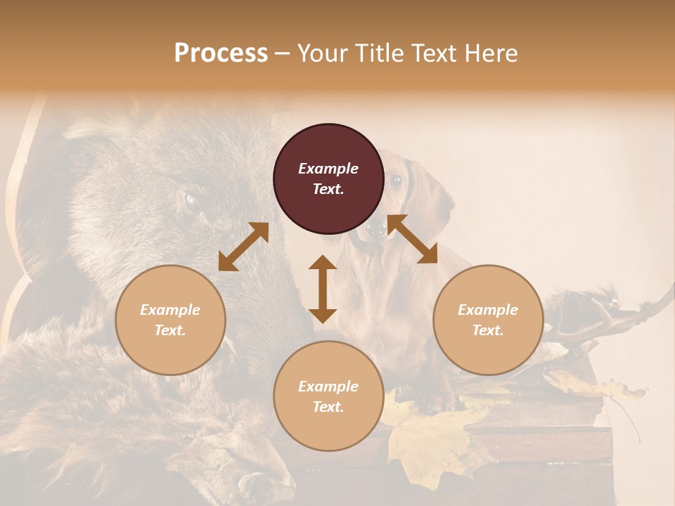 Hair Prey Hunt PowerPoint Template