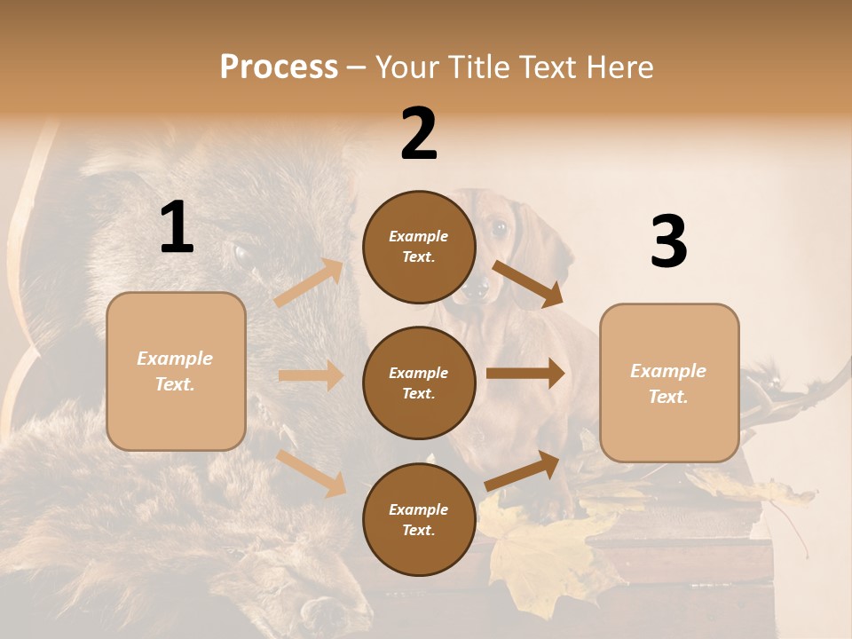 Hair Prey Hunt PowerPoint Template