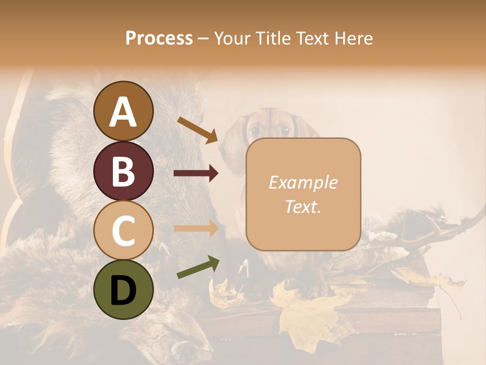 Hair Prey Hunt PowerPoint Template